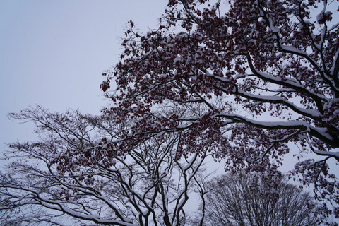 DSC01612
