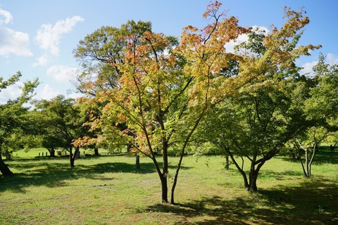 DSC04913