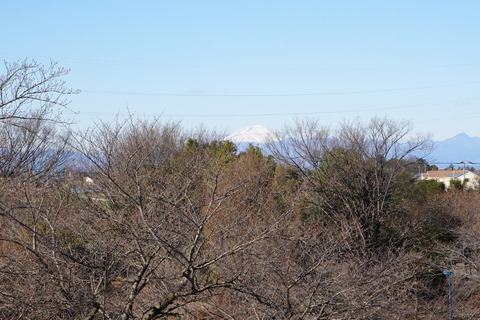 DSC01973