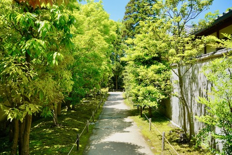 DSC06934