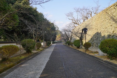 DSC05972