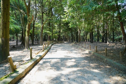 DSC04806