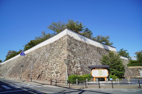 DSC05053