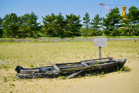 DSC06238
