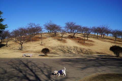 DSC01970