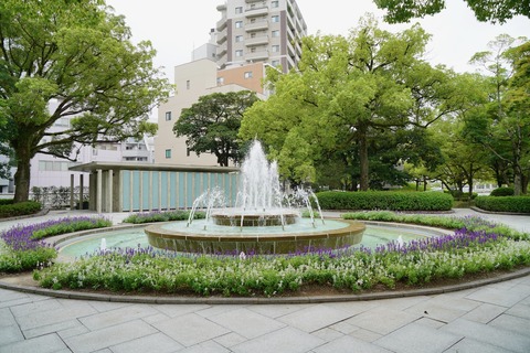 DSC04954