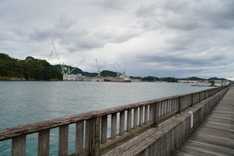 DSC05050