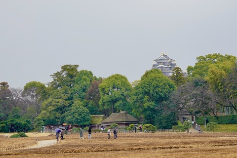 DSC04534