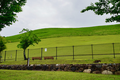 DSC06333