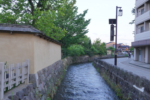 DSC03538