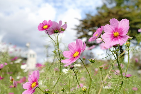DSC04026