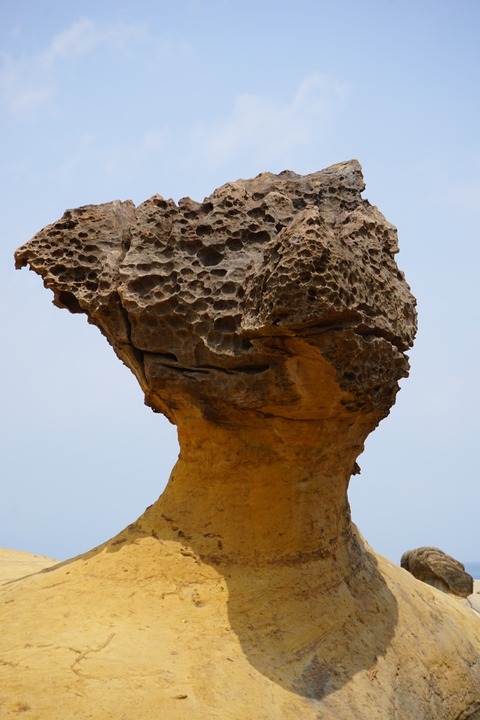 DSC00882