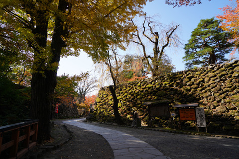 DSC01228