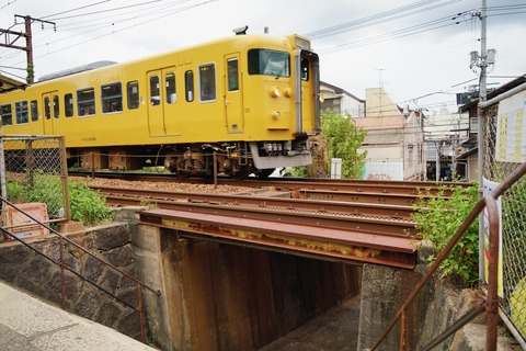 DSC05043