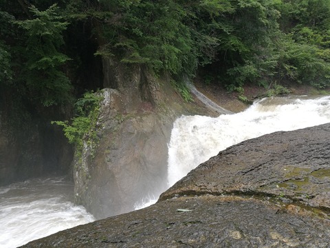 [画像:9e40d085-s.jpg]