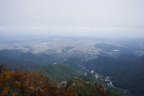 DSC01020