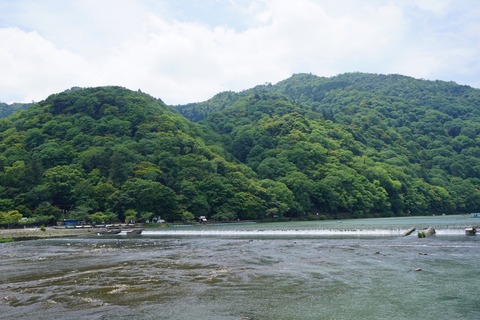 DSC01005