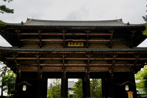 DSC06325