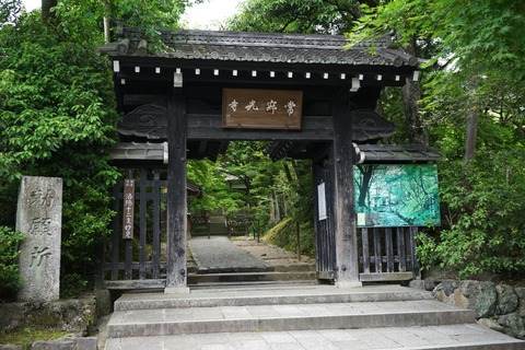 DSC00982