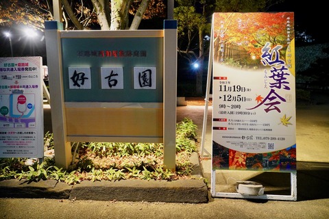 DSC05748