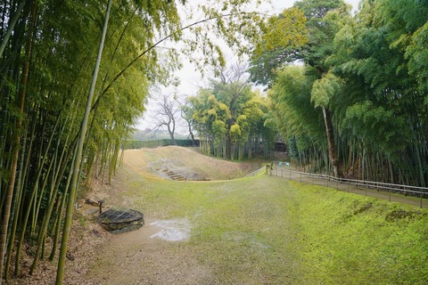 DSC04540