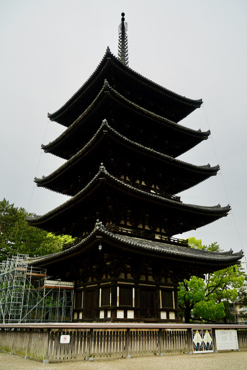 DSC06315