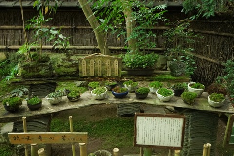 DSC00980