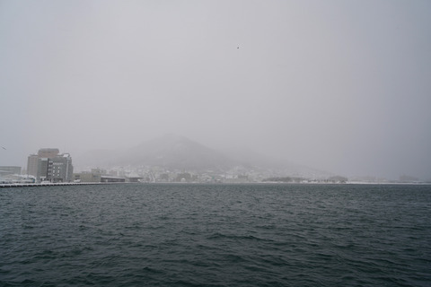 DSC01600