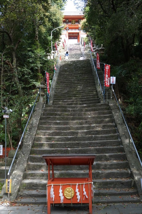 DSC04204
