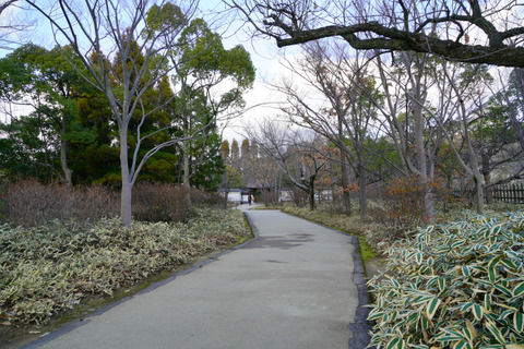 DSC04231