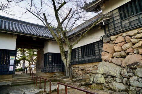 DSC05878