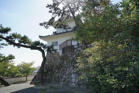 DSC05067