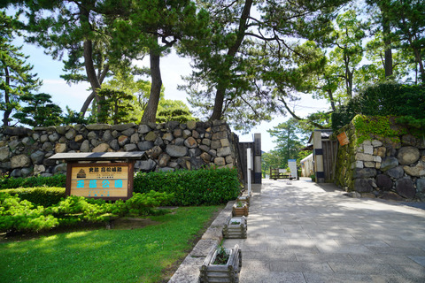 DSC05238