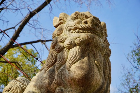 DSC07238