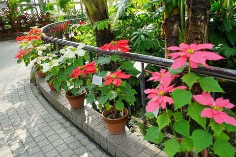 DSC01616