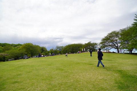 DSC02997