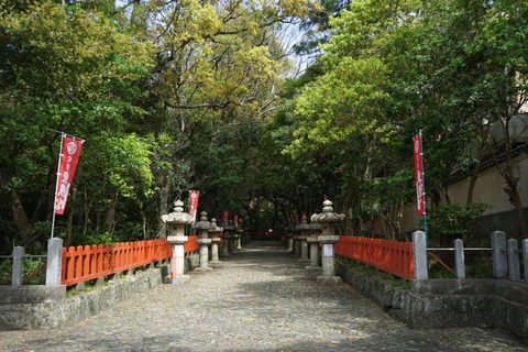 DSC04203