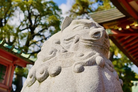DSC07249