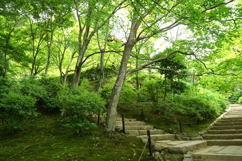 DSC00990