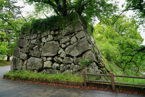 DSC06296