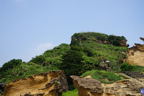 DSC00887