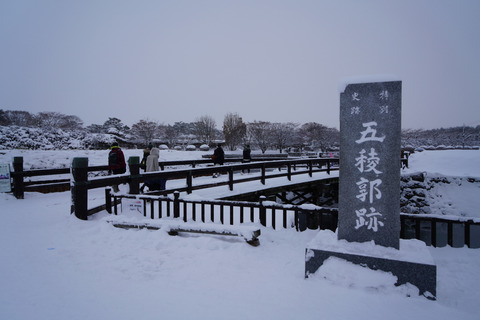 DSC01609