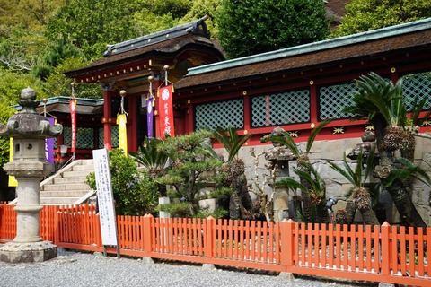 DSC04206