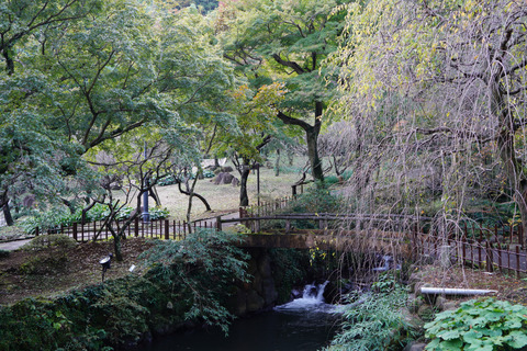 DSC01353