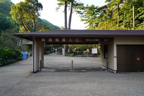 DSC01348
