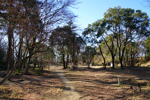DSC02127