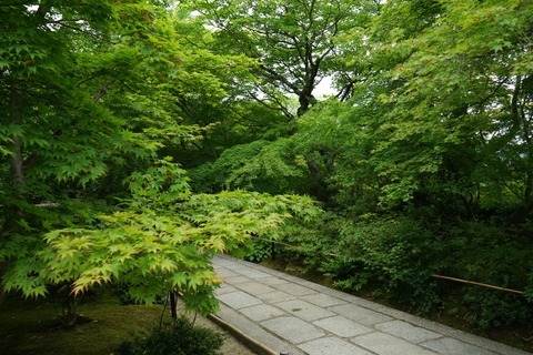 DSC00988