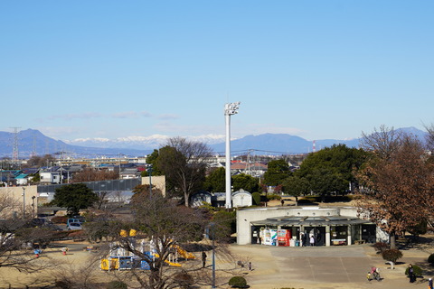 DSC01974