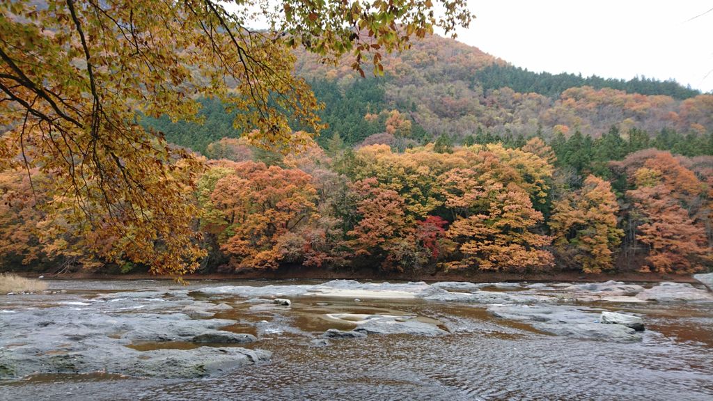 エコロヴィレッジから車で分ほどの吹割の滝 紅葉見頃です フロムネイチャーのブログ エコロヴィレッジから車で分ほどの吹割の滝 紅葉見頃です フロムネイチャーのブログ