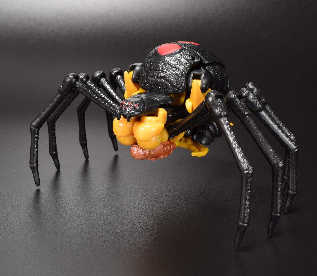 TFキングダム KD-05 ブラックアラクニア : from.おもちゃ部屋
